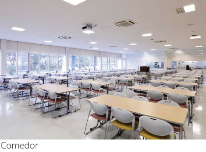 Comedor Comedor